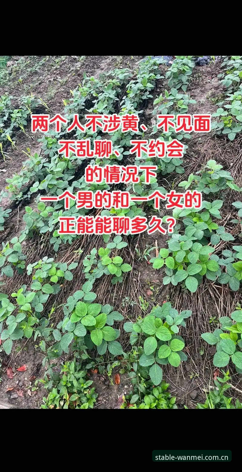 好，我是老王，聊体育、聊数据、也聊点门道。这届选秀有意思，我先说个结论：状元热门人选直到现在都没定死，在近十年里都少见。NBA球队的总经理们自己都承认，五号签之后就是大乱斗。咱们今天不整虚的，直接拆开这台选秀机器，看看里面的零件到底怎么转。